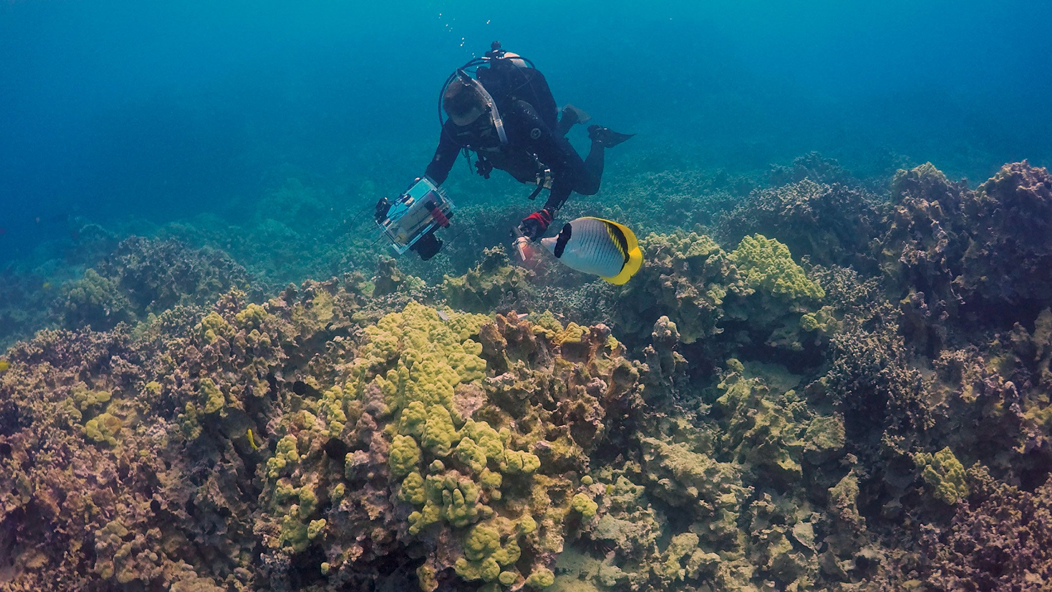 09 23 Hb Cesspools Greg Asner Diving
