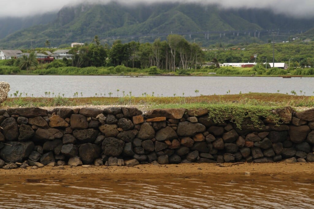 0924 Hb 1800x1200 25