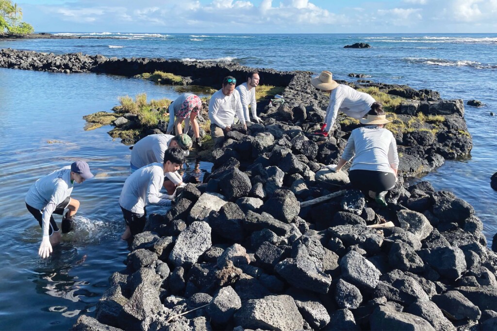 1124 Hb 1800x1200 Web Fill6