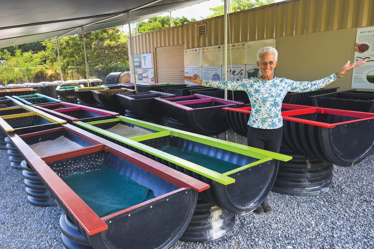 Article Image A Worming Toward A Greener Future