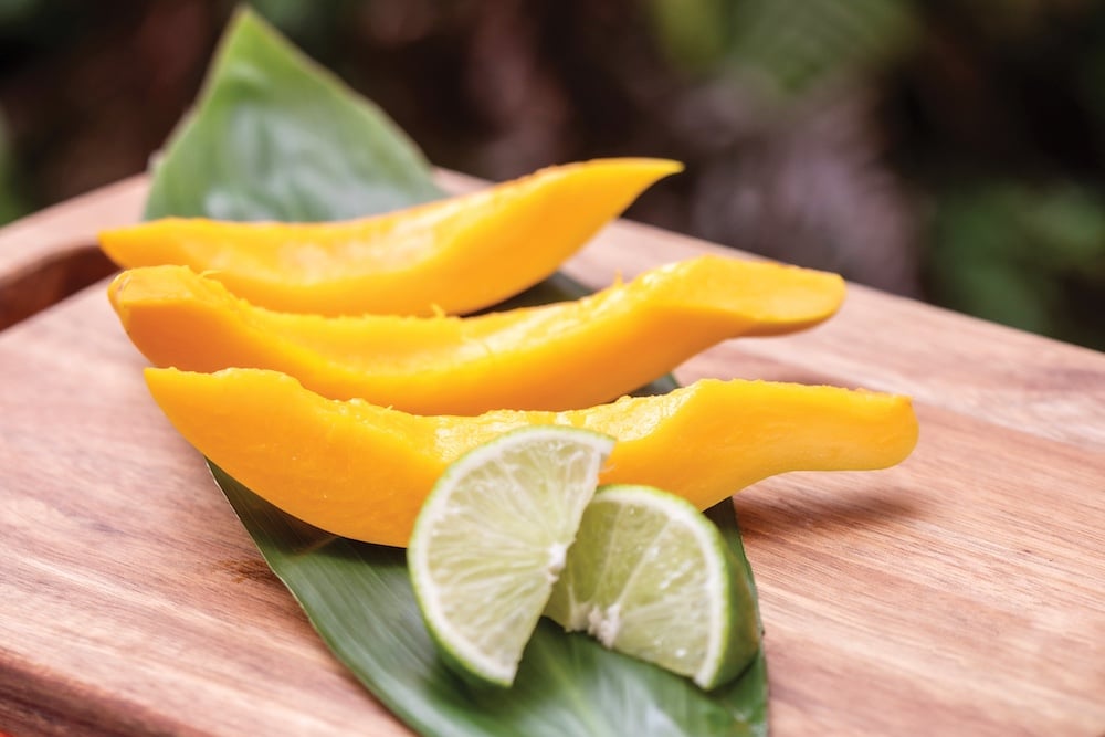 Article Image Tariffs Are Hurting Lots Of Industries