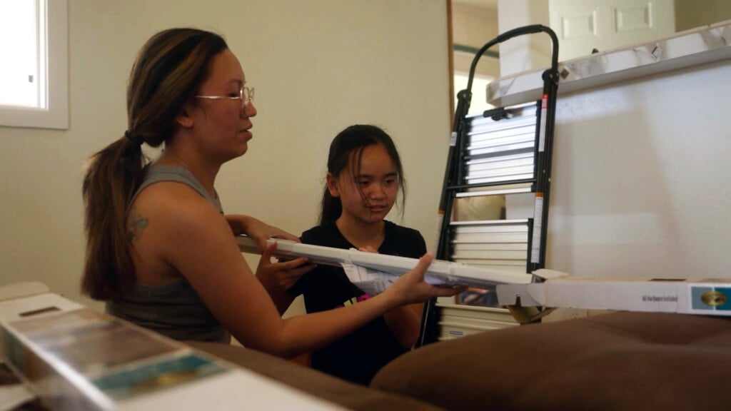 Replacement Photo Hph